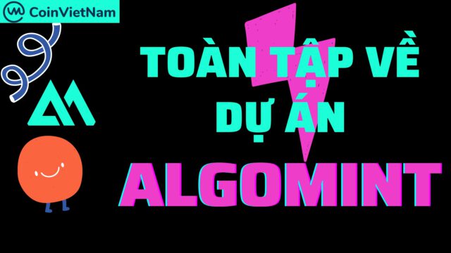 Toàn tập về dự án Algomint